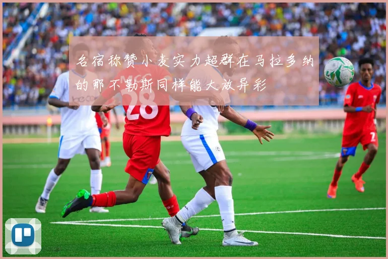 名宿称赞小麦实力超群在马拉多纳的那不勒斯同样能大放异彩