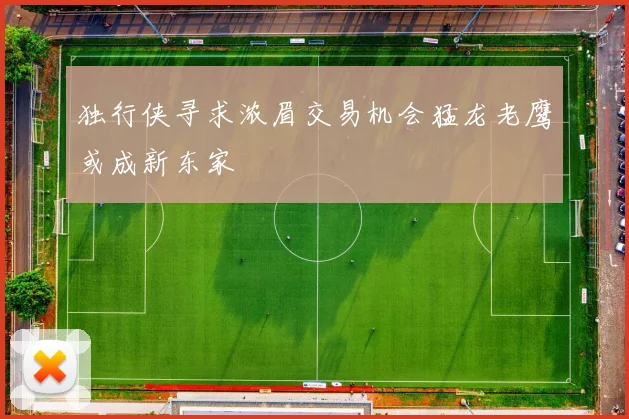 独行侠寻求浓眉交易机会猛龙老鹰或成新东家