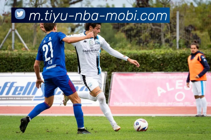 篮球赌注平台生态图